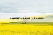 专业网站制作仪表多少钱（仪表设计软件）