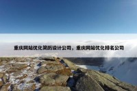 重庆网站优化简历设计公司，重庆网站优化排名公司