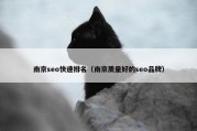 南京seo快速排名（南京质量好的seo品牌）