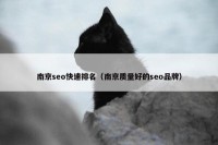 南京seo快速排名（南京质量好的seo品牌）