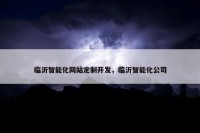 临沂智能化网站定制开发，临沂智能化公司