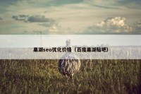 巢湖seo优化价格（百度巢湖贴吧）