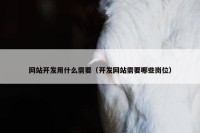网站开发用什么需要（开发网站需要哪些岗位）