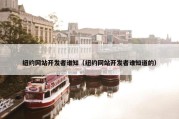 纽约网站开发者谁知（纽约网站开发者谁知道的）