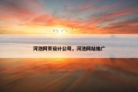 河池网页设计公司，河池网站推广