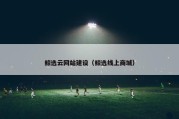 鲸选云网站建设（鲸选线上商城）