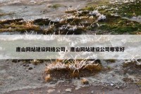 唐山网站建设网络公司，唐山网站建设公司哪家好