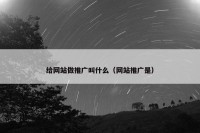 给网站做推广叫什么（网站推广是）