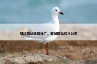 邹坞网站建设推广，邹城网站优化公司