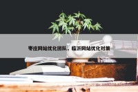 枣庄网站优化团队，临沂网站优化对策