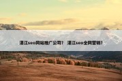 湛江seo网站推广公司？ 湛江seo全网营销？