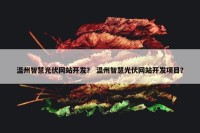 温州智慧光伏网站开发？ 温州智慧光伏网站开发项目？