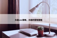 大疆seo策略，大疆的营销策略
