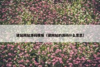 建站网站源码模板（建网站的源码什么意思）