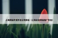 上海网站开发外包公司排名（上海企业网站推广外包）