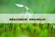 网页设计平面设计师？ 网页设计师怎么样？