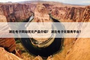 湖北电子网站优化产品介绍？ 湖北电子化服务平台？
