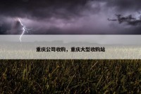重庆公司收购，重庆大型收购站