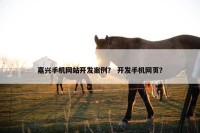 嘉兴手机网站开发案例？ 开发手机网页？