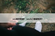 seo新手教程？ seo入门基础知识？