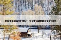 如何查询网站优化情况？ 如何查询网站优化情况信息？