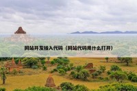 网站开发插入代码（网站代码用什么打开）
