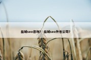 盐城seo咨询？ 盐城seo外包公司？