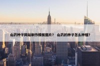 山药种子网站制作模板图片？ 山药的种子怎么种植？