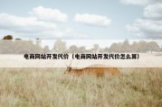 电商网站开发代价（电商网站开发代价怎么算）