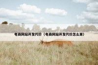 电商网站开发代价（电商网站开发代价怎么算）