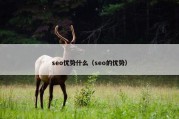 seo优势什么（seo的优势）