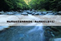 狮山网站优化咨询费用高吗（佛山网站优化是什么）