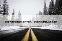天津大型网站定制操作培训？ 天津网站制作方案定制？