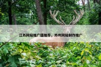 江苏网站推广值推荐，苏州网站制作推广