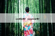 seo好公司？ seoyon公司？