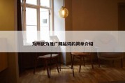 为所欲为推广网站词的简单介绍