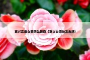 嘉兴高度白酒网站建设（嘉兴白酒批发市场）