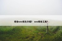 综合seo优化介绍？ seo综合工具？