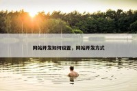网站开发如何设置，网站开发方式