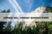 付费网站推广服务，付费网站推广是按照地域分类得到的