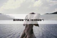 国内网站推广产品（各大网站推广）