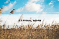 自贡源码建站，自贡项目