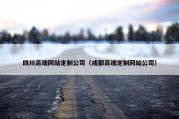 四川高端网站定制公司（成都高端定制网站公司）
