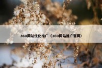 360网站优化推广（360网站推广官网）
