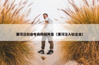 漕河泾街道电商网站开发（漕河泾入驻企业）