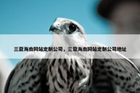 三亚海南网站定制公司，三亚海南网站定制公司地址