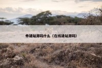 券建站源码什么（在线建站源码）