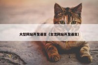 大型网站开发语言（主流网站开发语言）