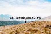 太原seo服务价格？ 太原高级seo主管？