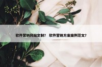 软件营销网站定制？ 软件营销方案案例范文？